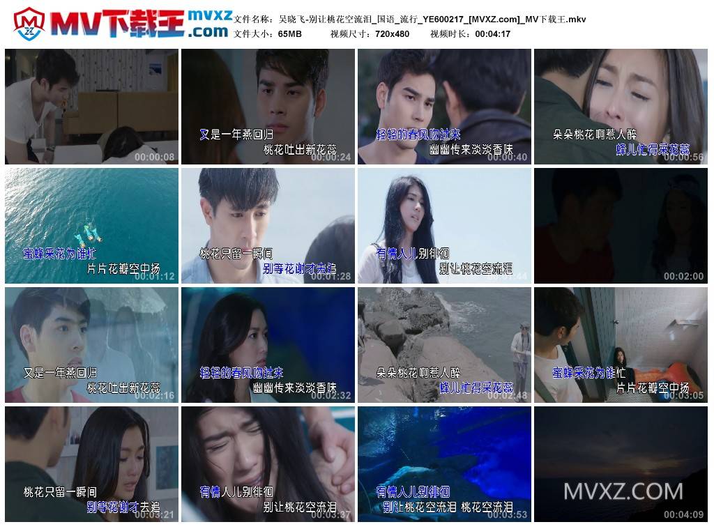 吴晓飞-别让桃花空流泪_国语_流行_YE600217